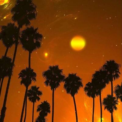 澳门天天免费资料大全下载手机app下载截图