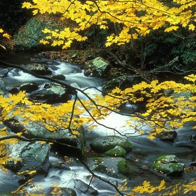 BOB·体育(中国)官方网站APP截图